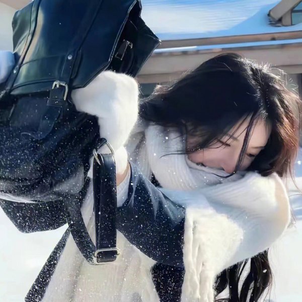 新奇士家族